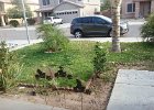 Street View (2)  Front yard